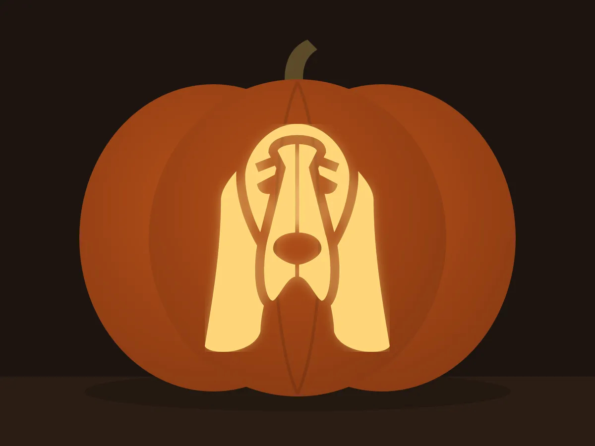 Carved pumpkin with the basset hound pattern, lit by a candle