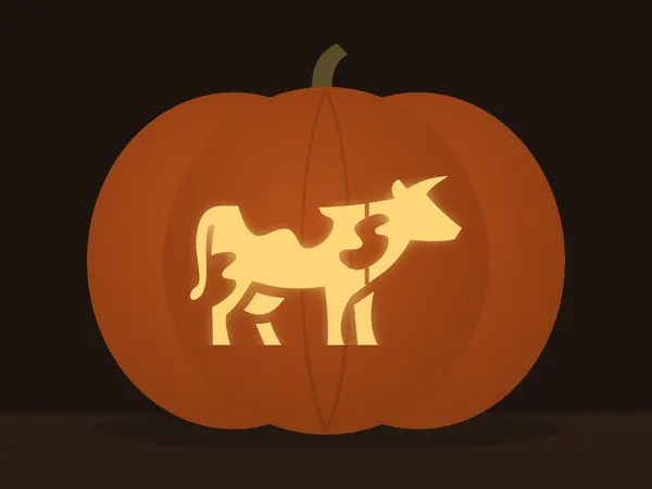 Carved pumpkin with the cow pattern, lit by a candle