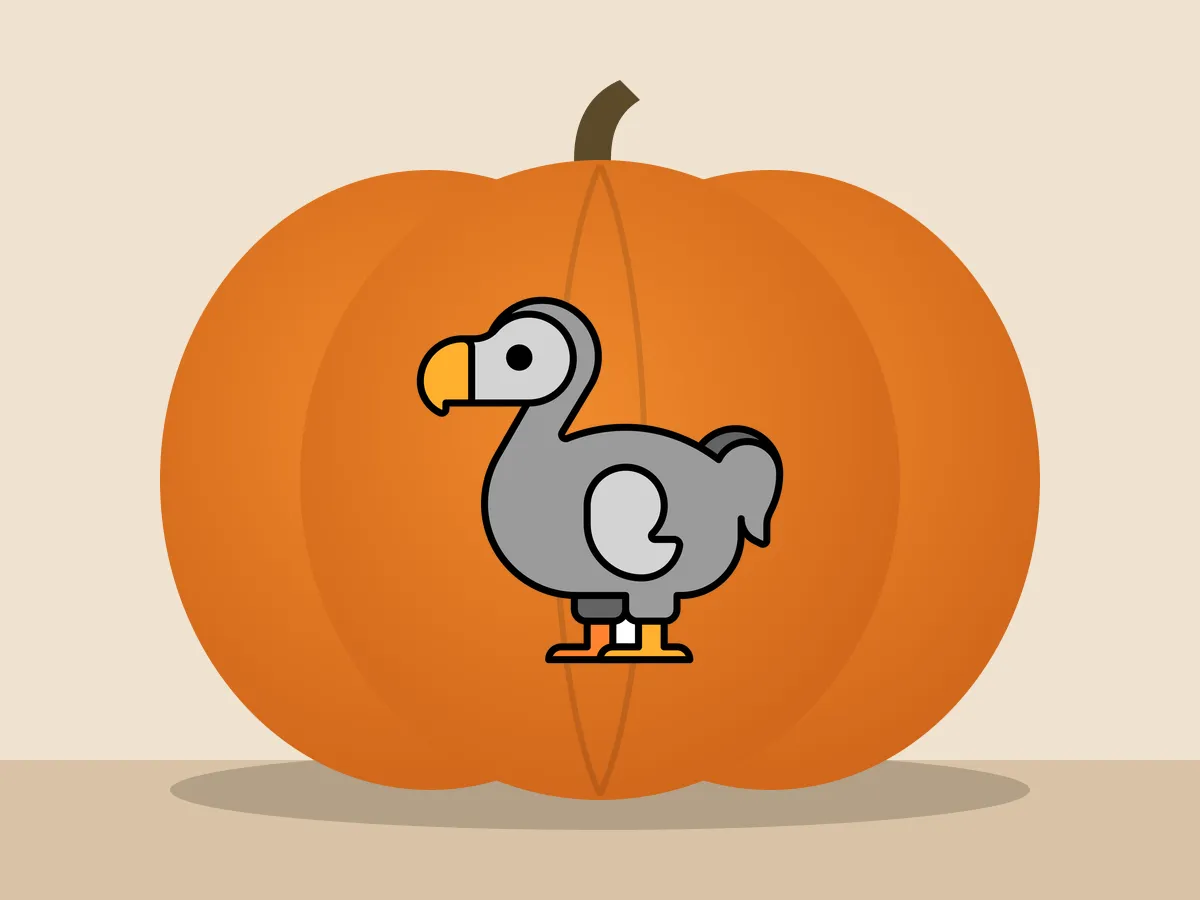 Pumpkin painted with the dodo bird stencil