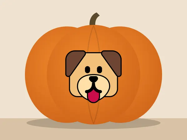 Kürbis bemalt mit dem Motiv „Hundegesicht“