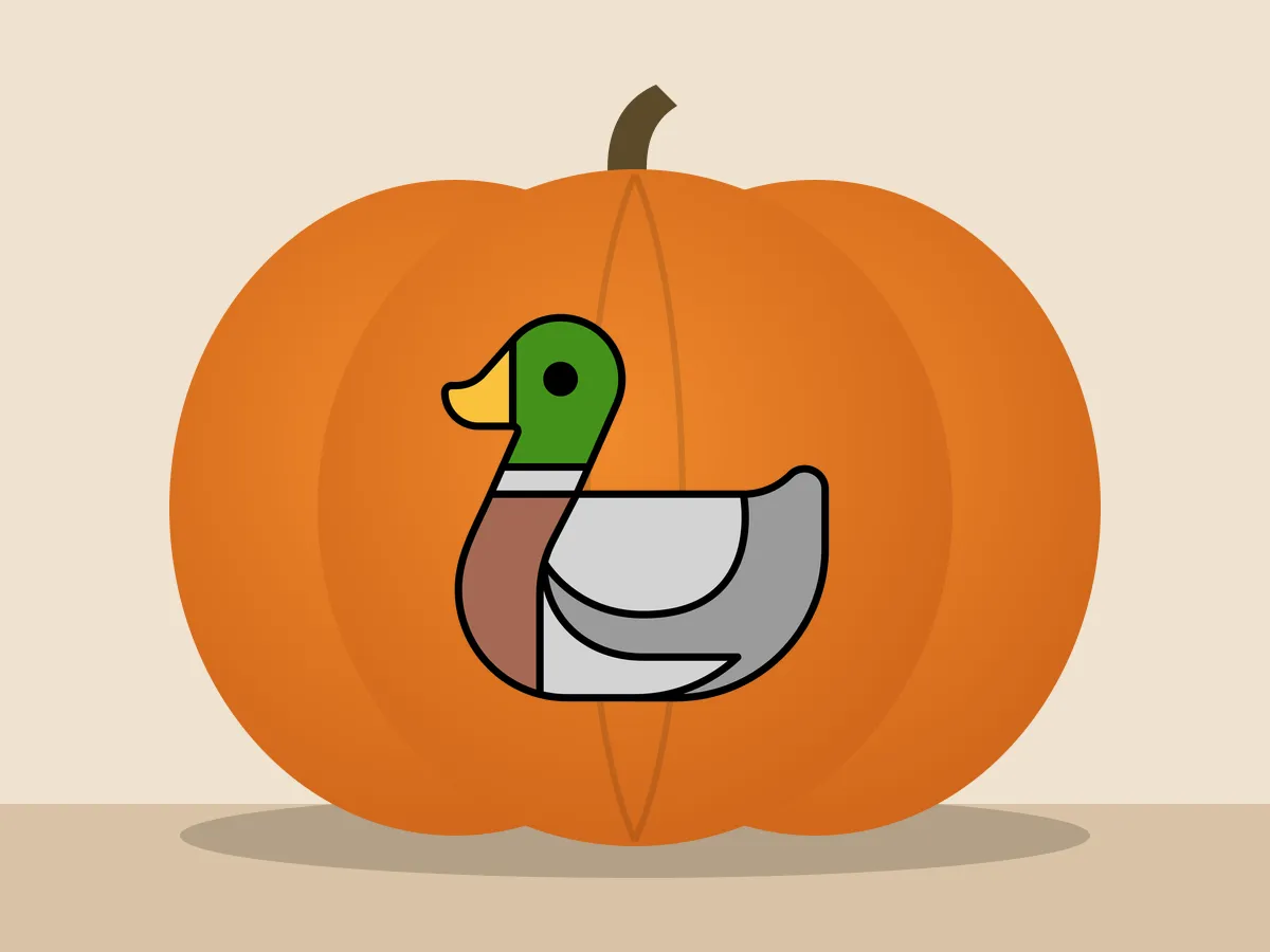 Pumpkin painted with the duck stencil