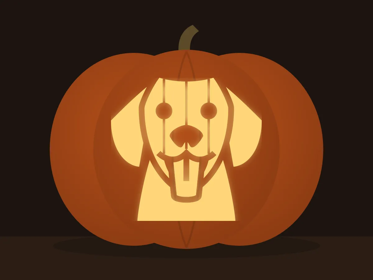Carved pumpkin with the labrador pattern, lit by a candle