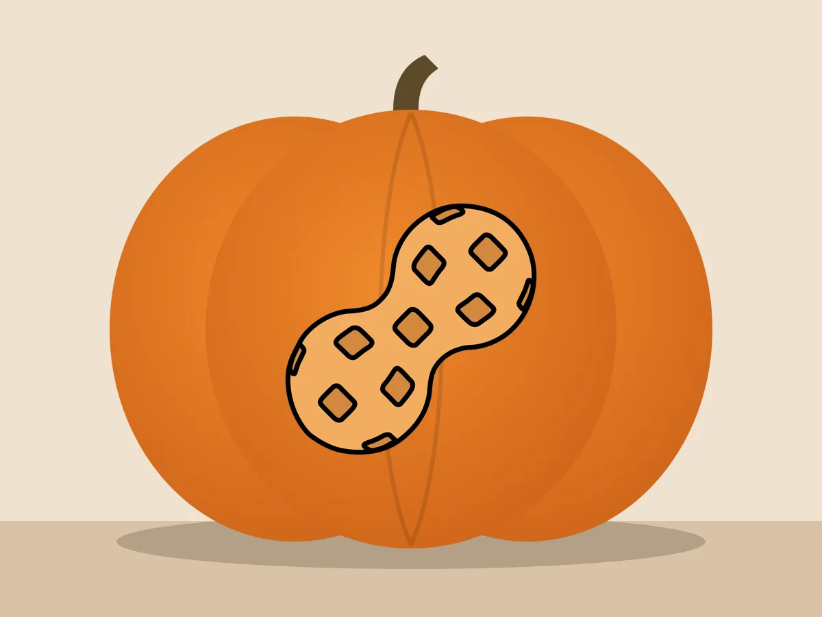 Pumpkin painted with the peanut stencil