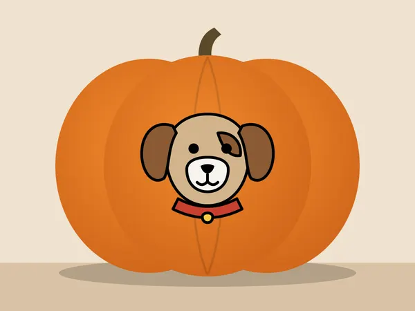 Pumpkin painted with the puppy stencil